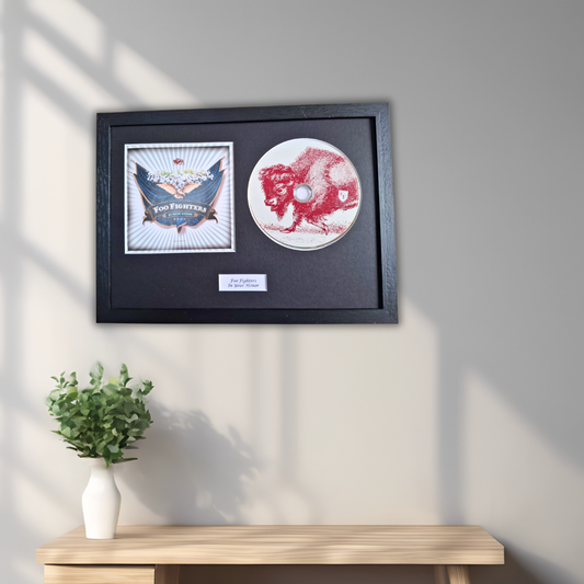Foo Fighters In Your Honor Framed CD Wall Decor Art